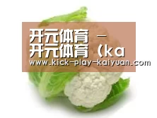 产品名称九