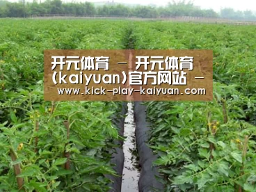 种植基地三