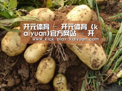 种植基地六