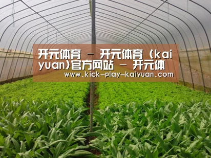 种植基地四