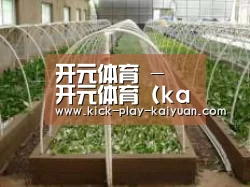 环境展示五