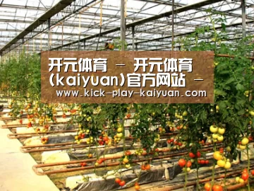 种植基地二(图1)