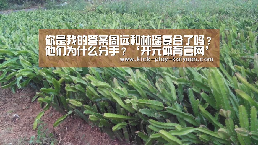 开元体育官网